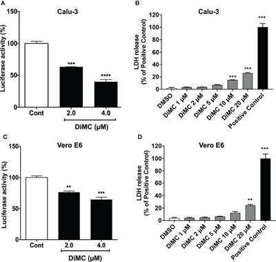 Dimethoxycurcumin Acidifies Endolysosomes and Inhibits SARS-CoV-2 Entry